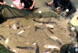 抓鱼的视频,视频揭秘海洋捕捞的精彩瞬间
