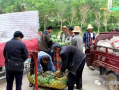 来宾市吃瓜群众爆料案件,吃瓜群众揭秘真相