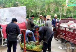 来宾市吃瓜群众爆料案件,吃瓜群众揭秘真相